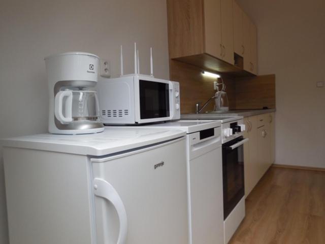 Apartman Kamenice Каменіце над Ліпоу Екстер'єр фото